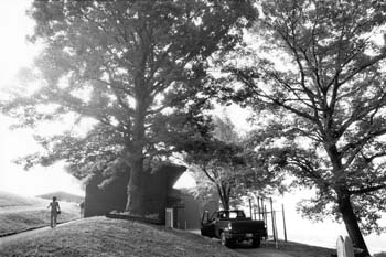 018 Highlander tree